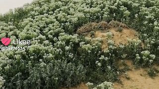 ربيع سوريه