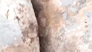 The dog climb to the top of the mountain  #dog#pet