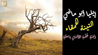 إيليا أبو ماضي : التينة الحمقاء : وَتينَةٍ غَضَّةِ الأَفنانِ باسِقَةٍ