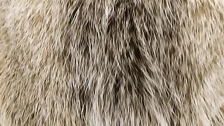 00966772119078
