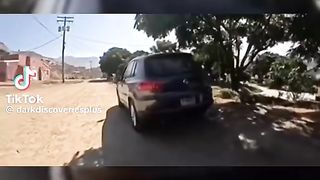 wtf???? is it scripted or not??