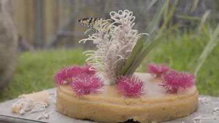 Wombat's Birthday Party crashed by Butterfly