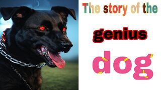 The story of the genius dog