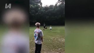 Funny Videos_Unexpected Fails Caught On Camera