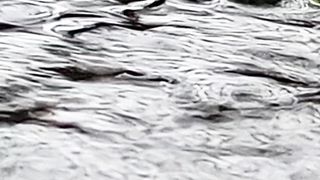 River water flow