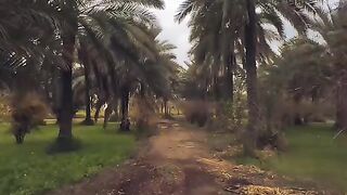 السلام عليكم.. اشترك فى القناة وعلق ب"تم" وسافعل نفس الشئ... شكرا????