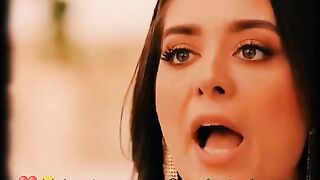مسلسل المداح