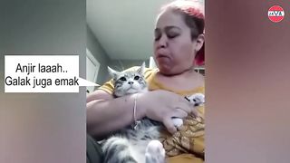 cute cat doesnt obey,wheb his nails are cut