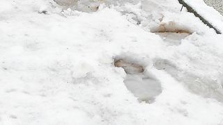 playing with snow
