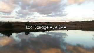 Pêche a la Carpe Maroc 2024, Carp fishing