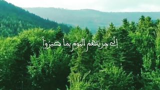 ما شاء الله ❤️