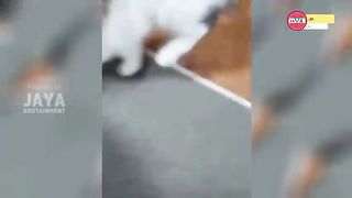 really cute duration 7 minutes