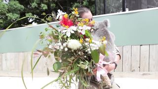 Imogen, the koala, celebrating her birthday is the cutest