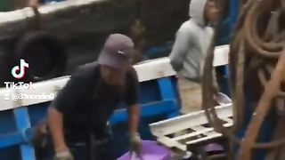 اكسبلور