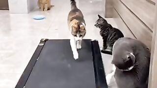 Funny