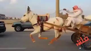 تحشيش كلشي وكلاشي 