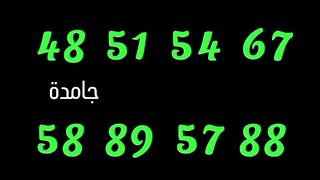 insapp-1710365686440.