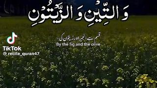 Qurani Ayat #