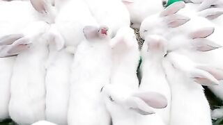 #funny