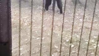#funny