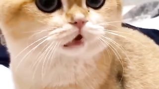 #funny