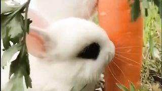 #funny