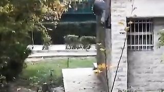 #funny