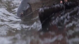Watch and enjoy The best fishing operations From Around The World #4