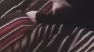 Try not to laugh
