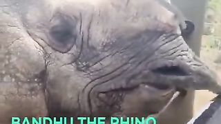 #funny