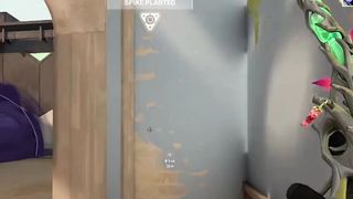 Youngsender focus ghost ace