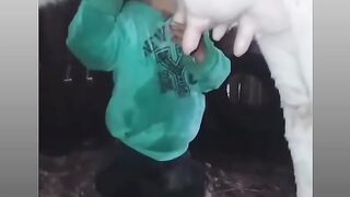 روجلة مندو توفلة