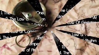 The 14 Universal Laws
