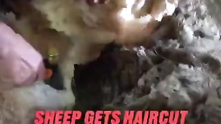 #funny