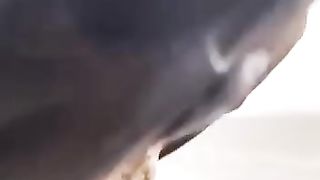 #funny
