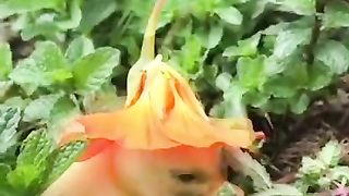 #funny