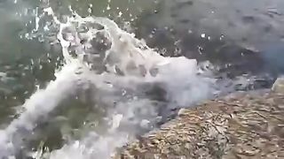 #funny