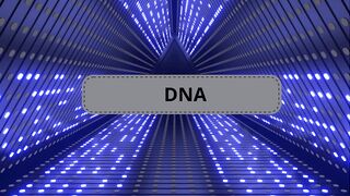 _SCIENCE2024 3