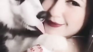 Some people love animals.Some animals are the best of  humans life.