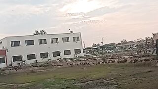 Beautiful sunset