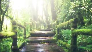 Wonderful nature