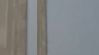 aipha gecko ace