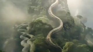General video