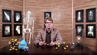 Introduction to Anatomy & Physiology: Crash Course Anatomy & Physiology #1