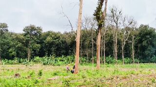 Logging