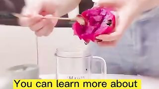 portable mini juicer