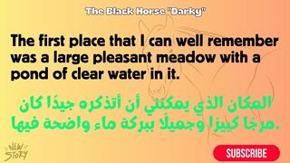 Black Beauty Story