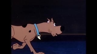 Scooby-Doo Where Are You! ｜ Animal Encounters ???? ｜ 10 Minutes of CLASSIC Cartoons! ｜ WB Kids