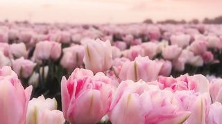 القران_الكريم
