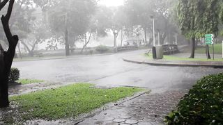 Rain Sounds: Relaxing Nature Sounds for Sleep and Stress Relief